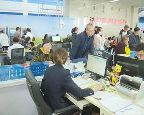 減稅降費政策落實與稅務服務優化——推進社保費征收工作的財務咨詢