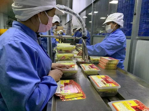 落實優惠政策，拓展“非接觸式”辦稅，稅務部門多措并舉助力企業復工復產